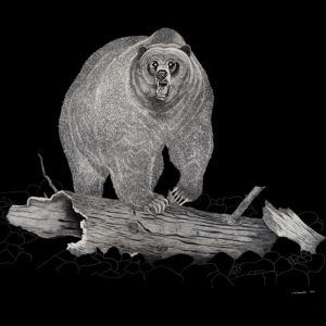 Geoff Edmunds Grizzly Bear