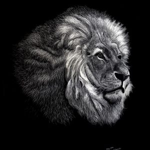 Geoff Edmunds The Lion scratchboard art