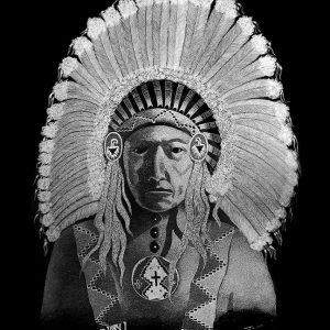 Geoff Edmunds The Indian Chief scratchboard art