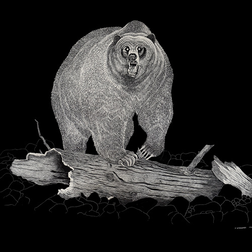 Geoff_Edmunds_art_Square_Bear