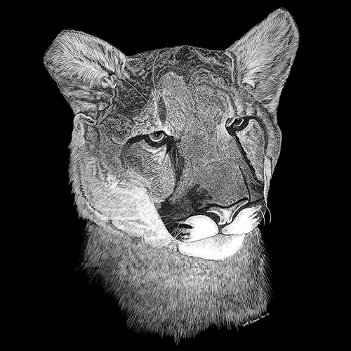 Geoff_Edmunds_art_Square_Cougar