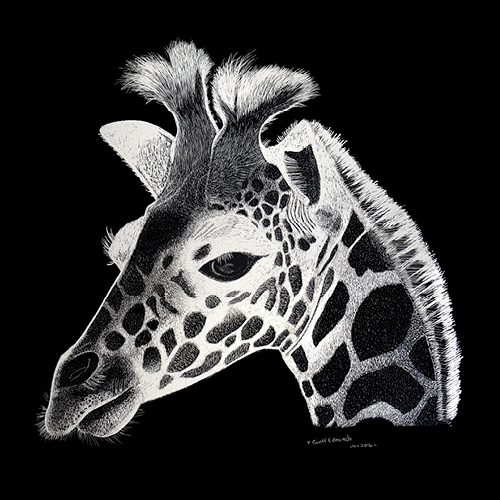 Geoff_Edmunds_art_Square_Giraffe