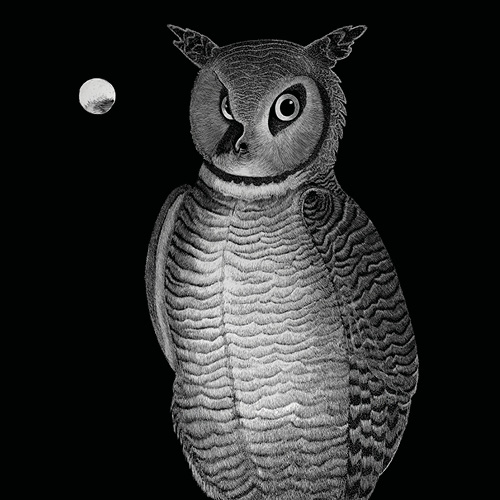 Geoff_Edmunds_art_Square_Owl